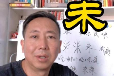 兴易八字教学