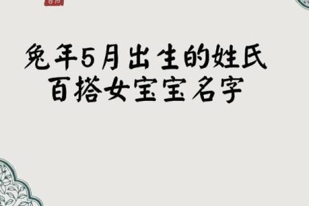 属兔酉时出生的男孩起名适合用什么字姓名