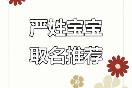 严姓男孩名字大全-严姓男孩起名字大全-严姓名字大全姓名