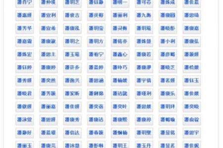 晚上1点出生的属鼠男孩取名大全姓名