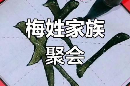 梅姓女孩名字大全-梅姓女孩起名字大全-梅姓名字大全姓名