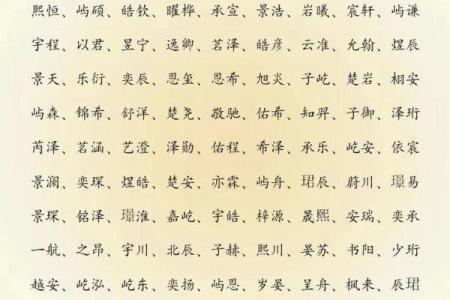 2019年5月26号寅时出生的男孩起名时要注意什么姓名