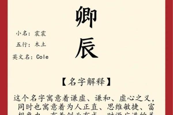 卜姓女孩名字大全-卜姓女孩起名字大全-卜姓名字大全姓名