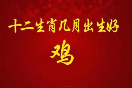 2月份出生的属鸡男孩起什么名字好姓名