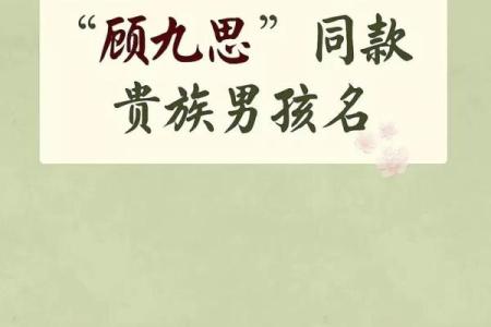 如何给1月份出生的属龙男孩取名字姓名