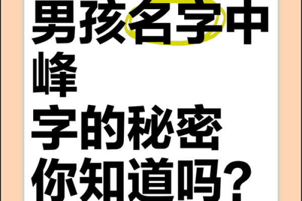 2019年3月22号未时出生的男孩应该起什么样的名字姓名