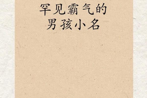 2019年3月22号未时出生的男孩应该起什么样的名字姓名