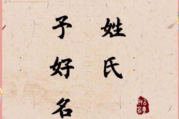 柳姓女孩名字大全-柳姓女孩起名字大全-柳姓名字大全姓名
