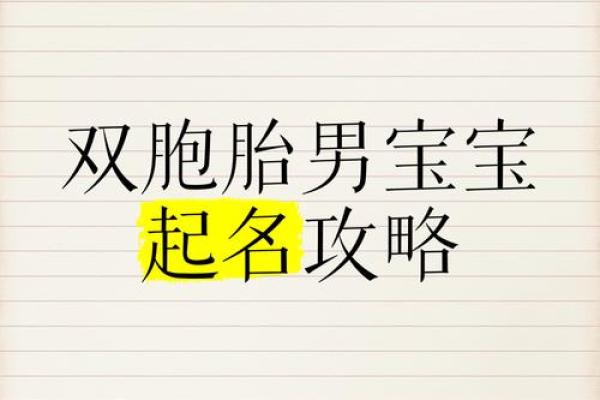 起双胞胎男孩名字时的几种方法-姓名学-华易网姓名