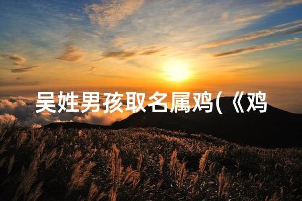 给早上7点出生的属鸡男孩起名适合的字姓名