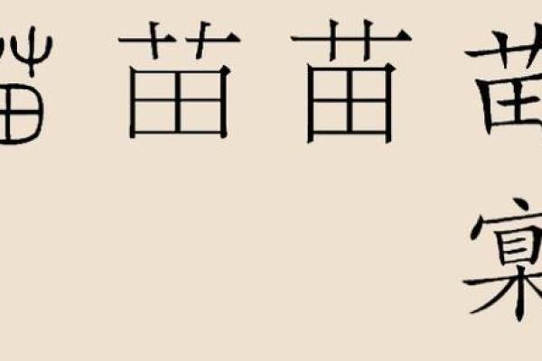 苗姓宗祠对联族谱和苗氏家族的字辈排行-姓名学-华易网姓名