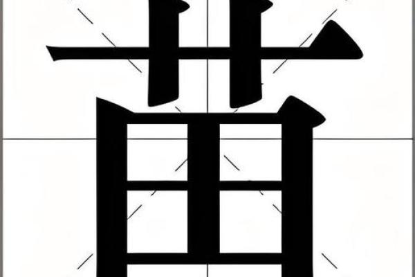 苗姓宗祠对联族谱和苗氏家族的字辈排行-姓名学-华易网姓名