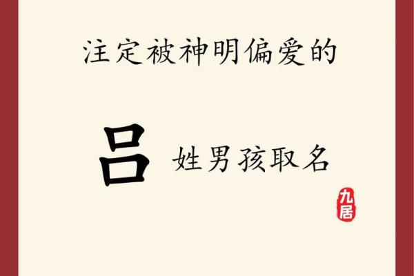 2019年6月29号卯时出生的男孩如何起名姓名