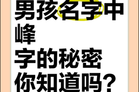 2019年3月22号未时出生的男孩应该起什么样的名字姓名