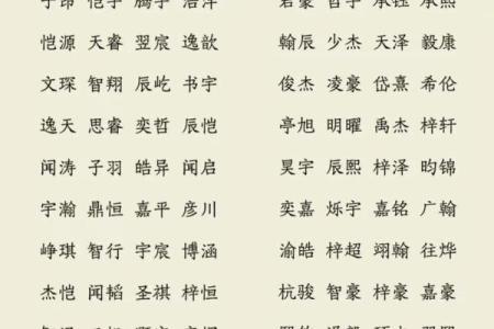 中午出生属兔的男孩应该怎么样取名字呢？姓名