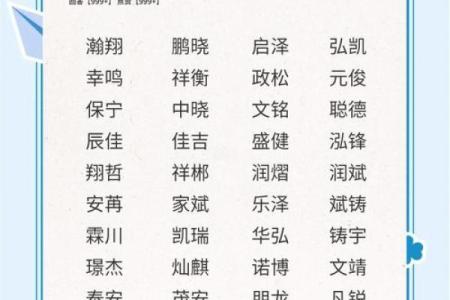 凌晨5点出生的属鼠男孩宜用什么字来取名字姓名
