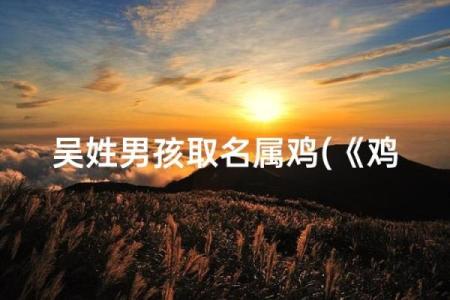 给早上7点出生的属鸡男孩起名适合的字姓名
