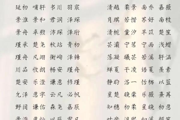 2019年3月28号巳时出生的男孩如何起名姓名
