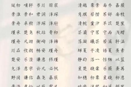 2019年3月28号巳时出生的男孩如何起名姓名