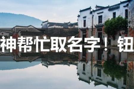 钮姓女孩名字大全-钮姓女孩起名字大全-钮姓名字大全姓名