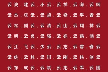 2019年3月23号辰时出生的男孩如何起名姓名