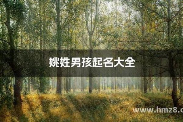 姚姓男孩名字大全-姚姓男孩起名字大全-姚姓名字大全姓名