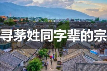 茅姓女孩名字大全-茅姓女孩起名字大全-茅姓名字大全姓名