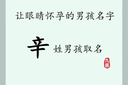 2019年4月20号丑时出生的男孩起名时要注意什么姓名