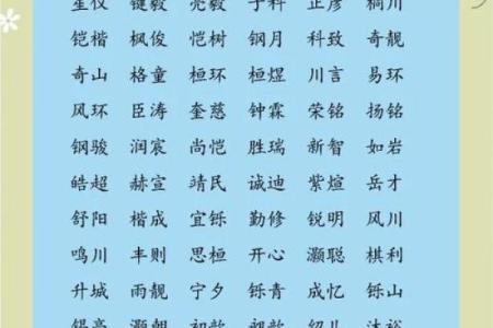 2019年4月8号卯时出生的男孩应该起什么样的名字姓名