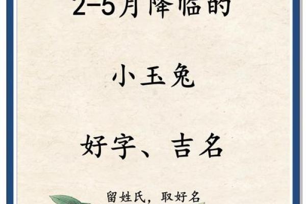 7月份出生的属兔男孩应该如何取名字姓名