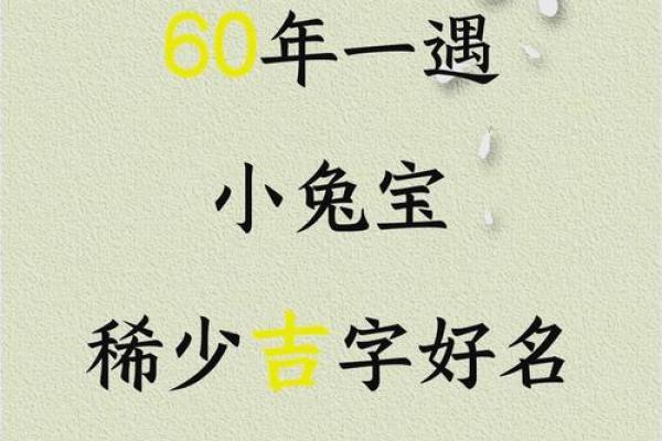 上午出生属兔的男孩应该怎么样取名字呢姓名