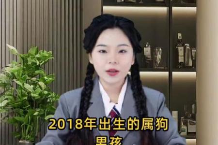 早上六点出生的属狗男孩如何取名，用什么字好姓名