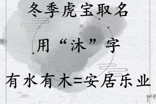 凌晨五点出生的属虎男孩如何起名，应用什么字。姓名