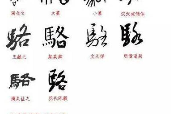 骆姓女孩名字大全-骆姓女孩起名字大全-骆姓名字大全姓名