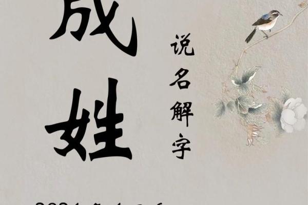 属兔辰时出生的男孩最好用什么字取名姓名