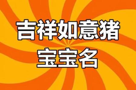 1月份出生的属猪男孩起什么名字好姓名