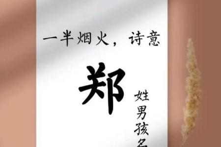 姓郑的名人-名人大全-姓名学-华易算命网姓名