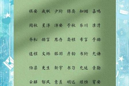 2019年处暑出生缺木男孩名字赏析姓名