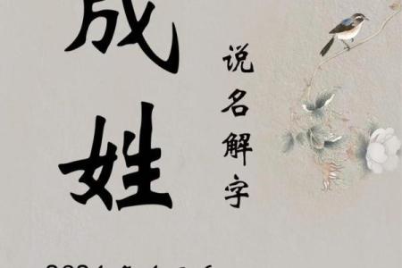 属兔辰时出生的男孩最好用什么字取名姓名