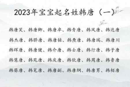 唐姓男孩名字大全-唐姓男孩起名字大全-唐姓名字大全姓名