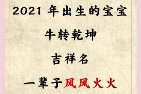午时出生的属牛男孩适合用哪些字起名姓名