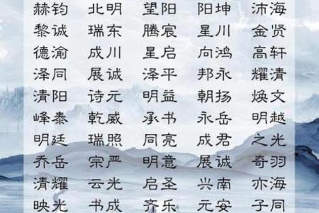 半夜出生的属鼠男孩起名用什么字最好姓名