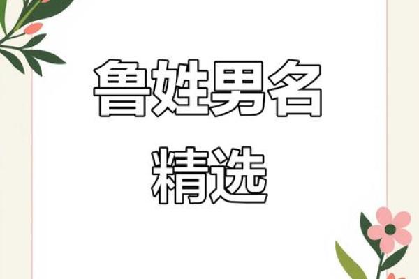鲁姓男孩名字大全-鲁姓男孩起名字大全-鲁姓名字大全姓名 鲁姓男孩名字大全-鲁姓男孩起名字大全-鲁姓名字大全姓名