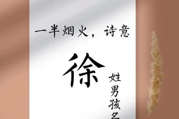 徐姓女孩名字大全-徐姓女孩起名字大全-徐姓名字大全姓名 徐姓女孩名字大全-徐姓女孩起名字大全-徐姓名字大全姓名