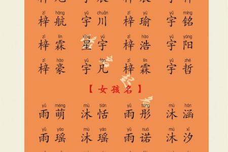 上午出生的属猴男孩起什么名，适合什么字姓名