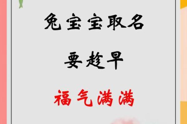 申时出生的属兔男孩适合取什么样的名字姓名 申时出生的属兔男孩适合取什么样的名字姓名