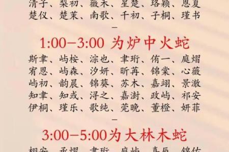 属猪卯时出生的男孩取什么名字，应该用什么字姓名