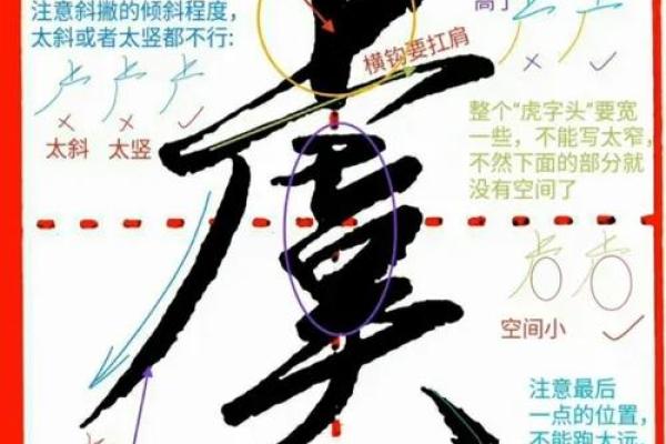 虞姓男孩名字大全-虞姓男孩起名字大全-虞姓名字大全姓名