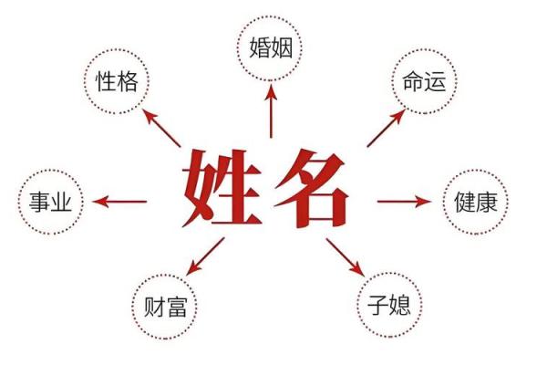 带木字旁的男孩名字-名字大全-姓名学-华易算命网姓名