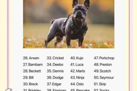 五月份出生的属狗男孩应该如何取名字姓名